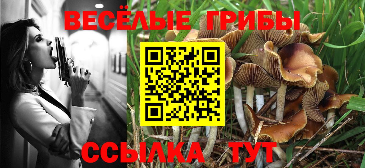 Псилоцибиновые грибы Magic Shrooms Гусев