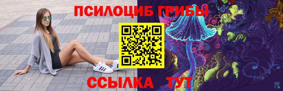 Гусев  Псилоцибиновые грибы Psilocybine cubensis  Вход с VPN 