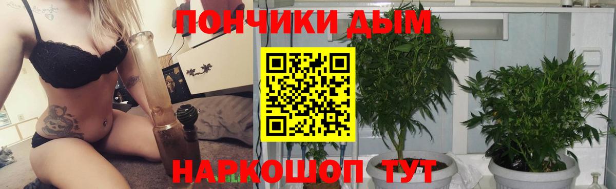 МАРИХУАНА гибрид  Вход с VPN  Конопля сатива  Гусев  Бошки марихуана план 